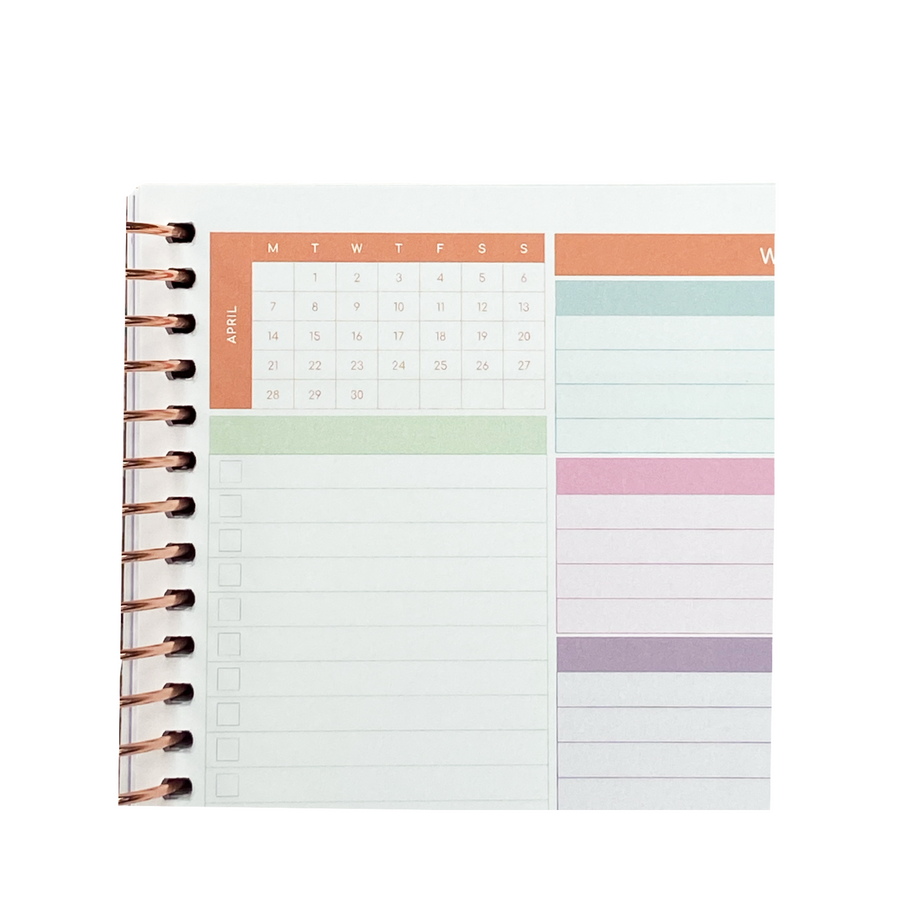 Rainbow Ray - 2025 Coil Bound Daily Teacher Planner – Zivia Designs