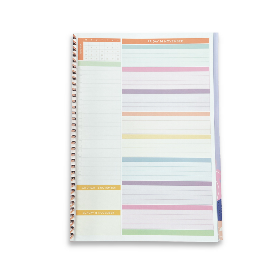 Rainbow Ray - 2025 Coil Bound Daily Teacher Planner – Zivia Designs